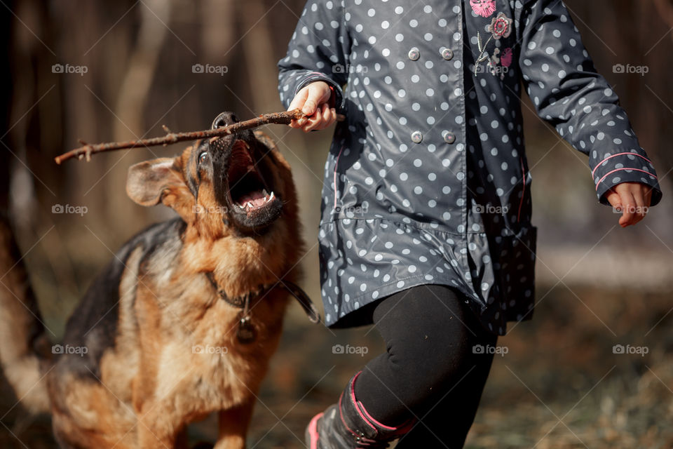 Girl playing with German shepherd puppy in a spring forest at sunny day 