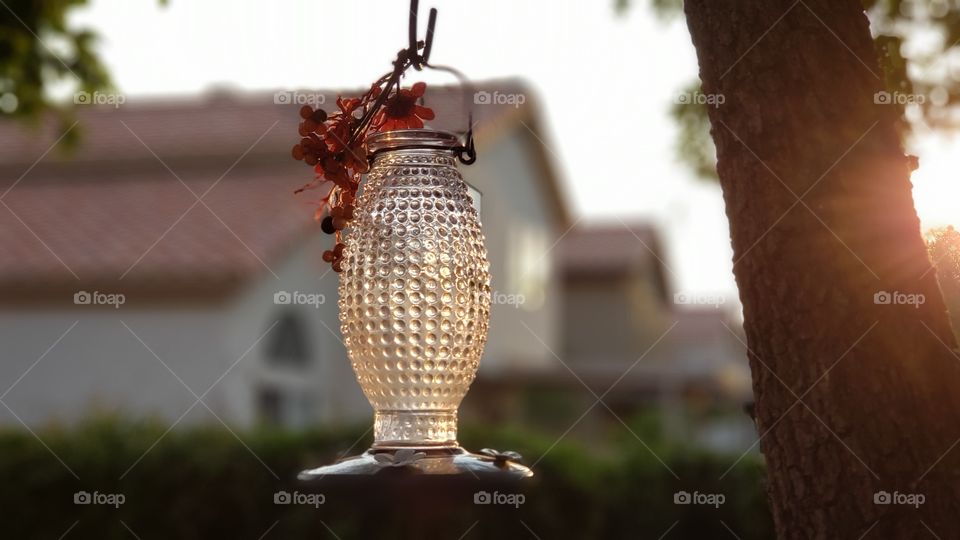 hummingbird feeder