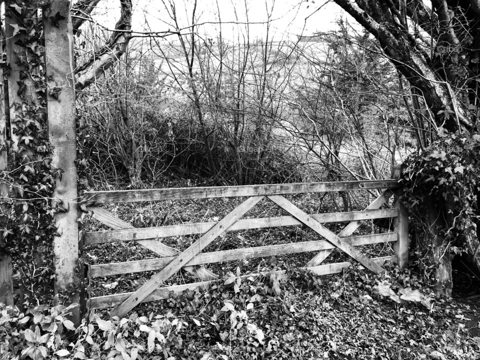 Black and white country scenes are often better, when the weather is so dreary, like it was today.