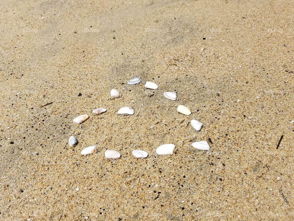 Seashells heart