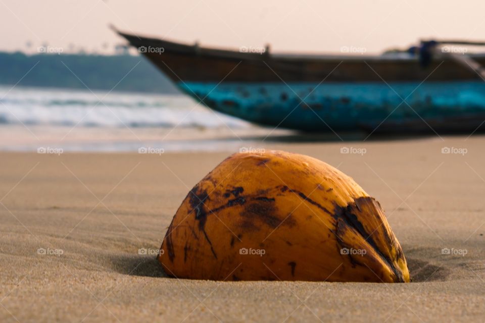 Beach Coconut