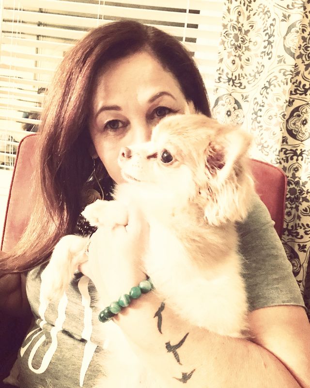 Dog lover