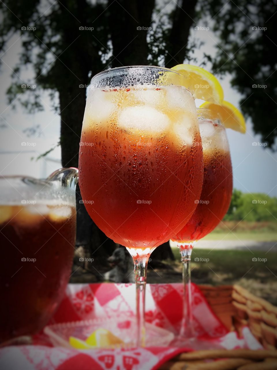 Cool Drinks on a Hot Day