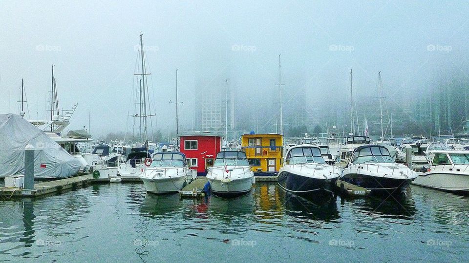Fog Envelopes Vancouver