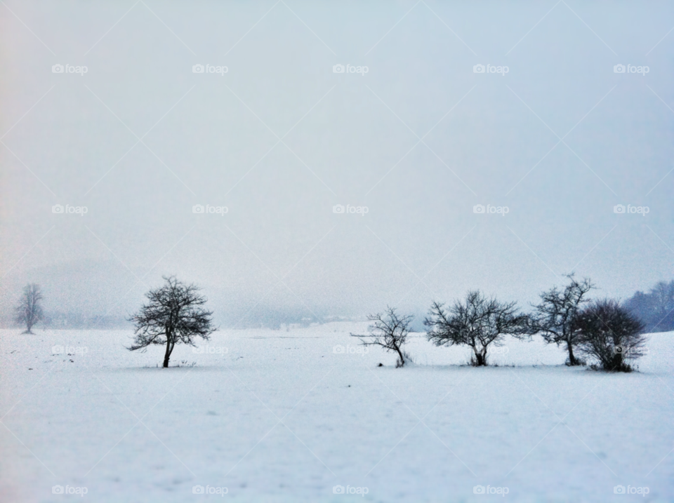 winter nature slovenia by selecshine