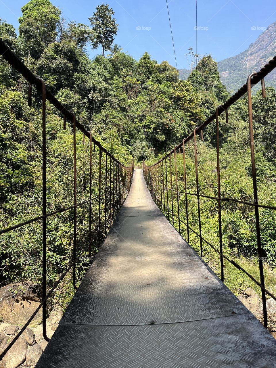 Walking through the bridge 