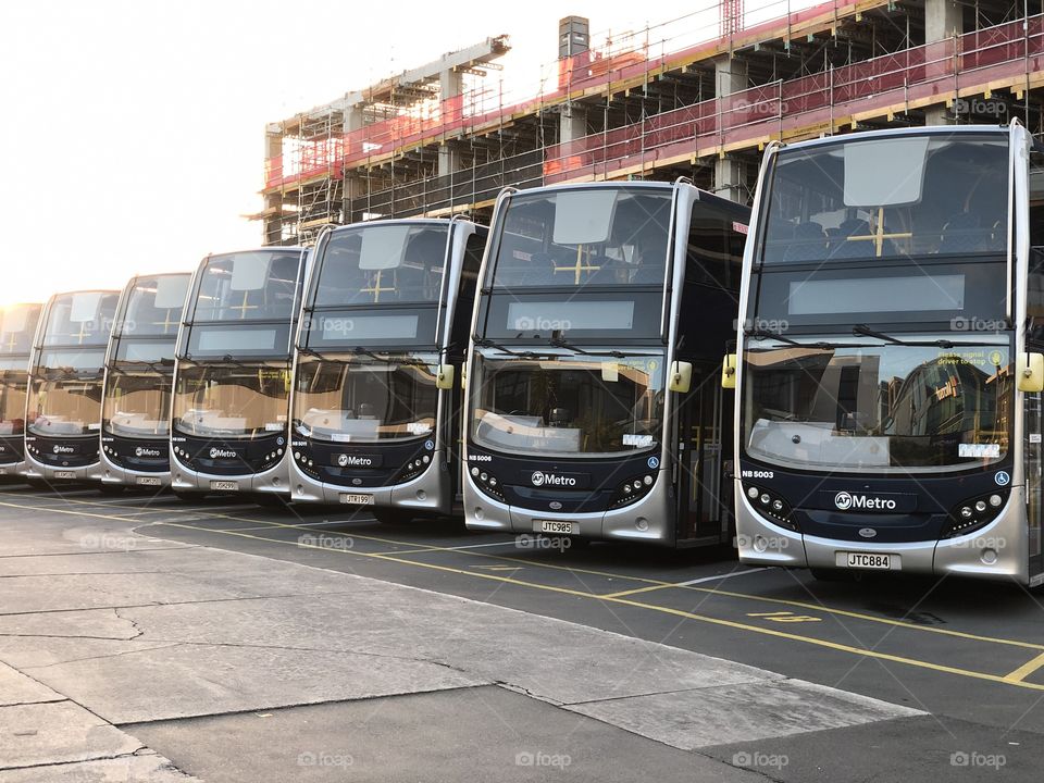 Auckland Bus