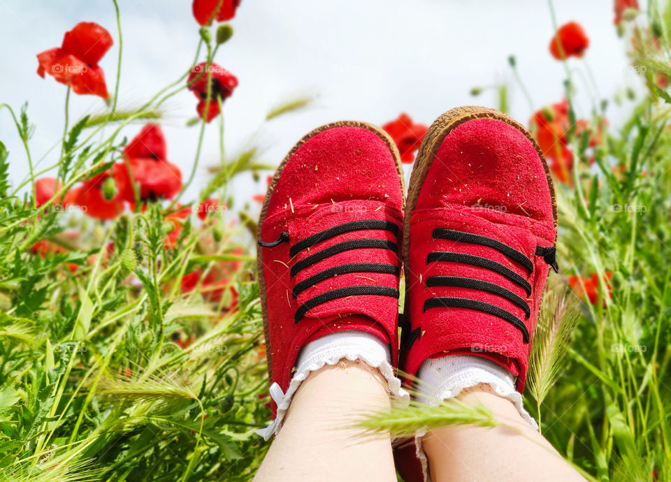 Red shoes in the poppy field
