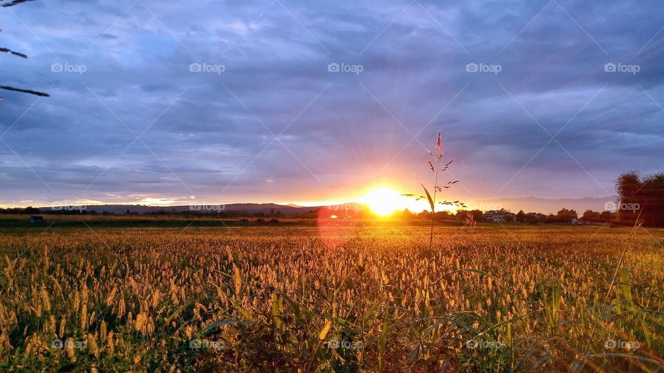 moi c'est Gerrard je vous présente des jolie image que vous n avez jamais vu,n esitez pas a les regarder