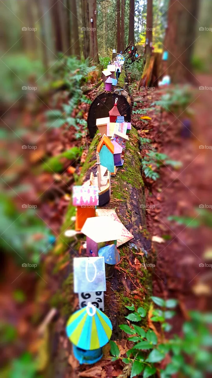 Bird houses