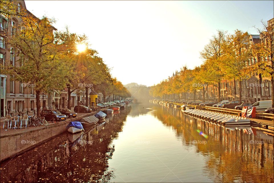 Amsterdam sin city canal amazing view colorful eye-catching trippy Europe traveling with friends amazing places to go exploring Holland