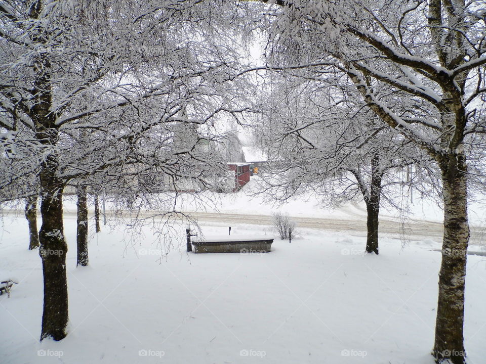 good view from the window and beautiful wetter