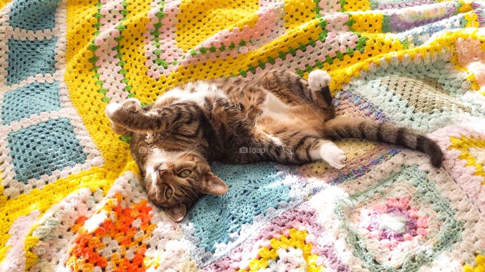 A cute cat laying on a colorful blanket.