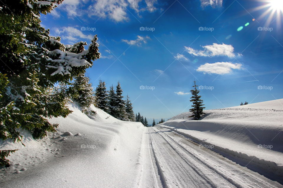 View of road during winter