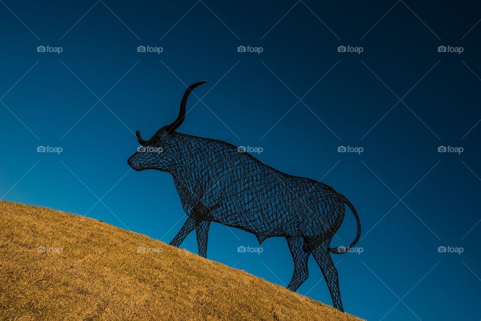 Metal wire sculpture of a bull