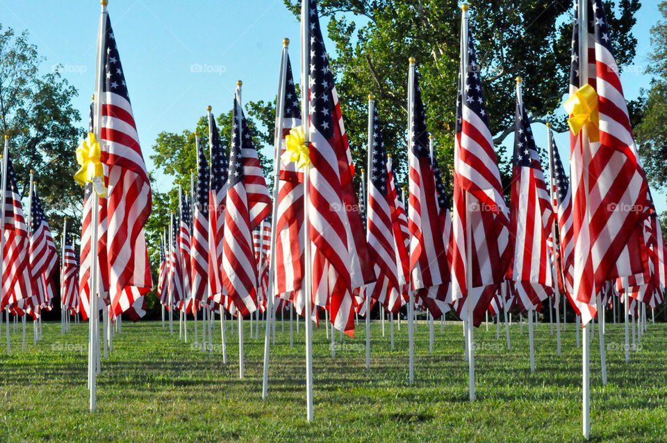 Flags