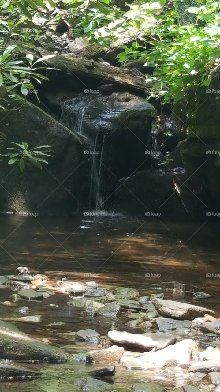 small trickle of water off of a waterfall and a Georgia hiking trail falling into the mouth of a river in Chattanooga river to be exact