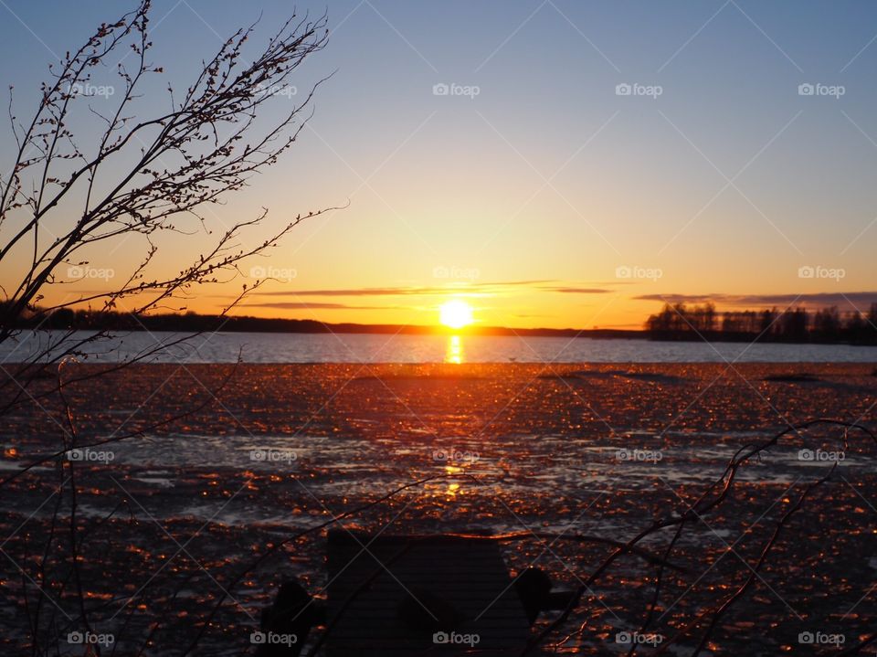 Beautiful evening sky. Sunset colors in the sky and icy water. Branches in front of the view.
