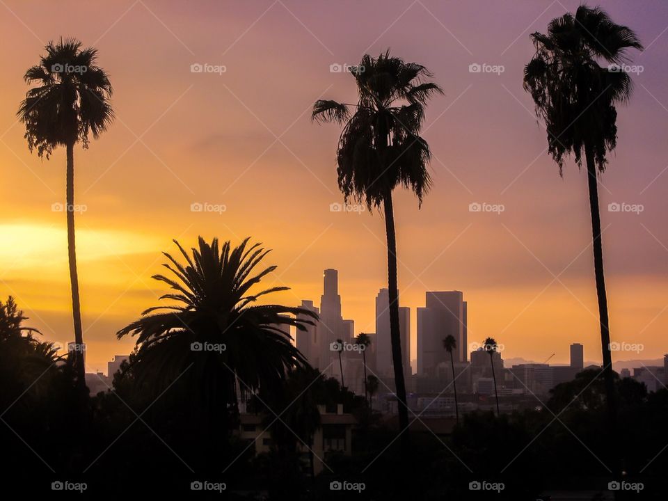 City of angeles at sunset