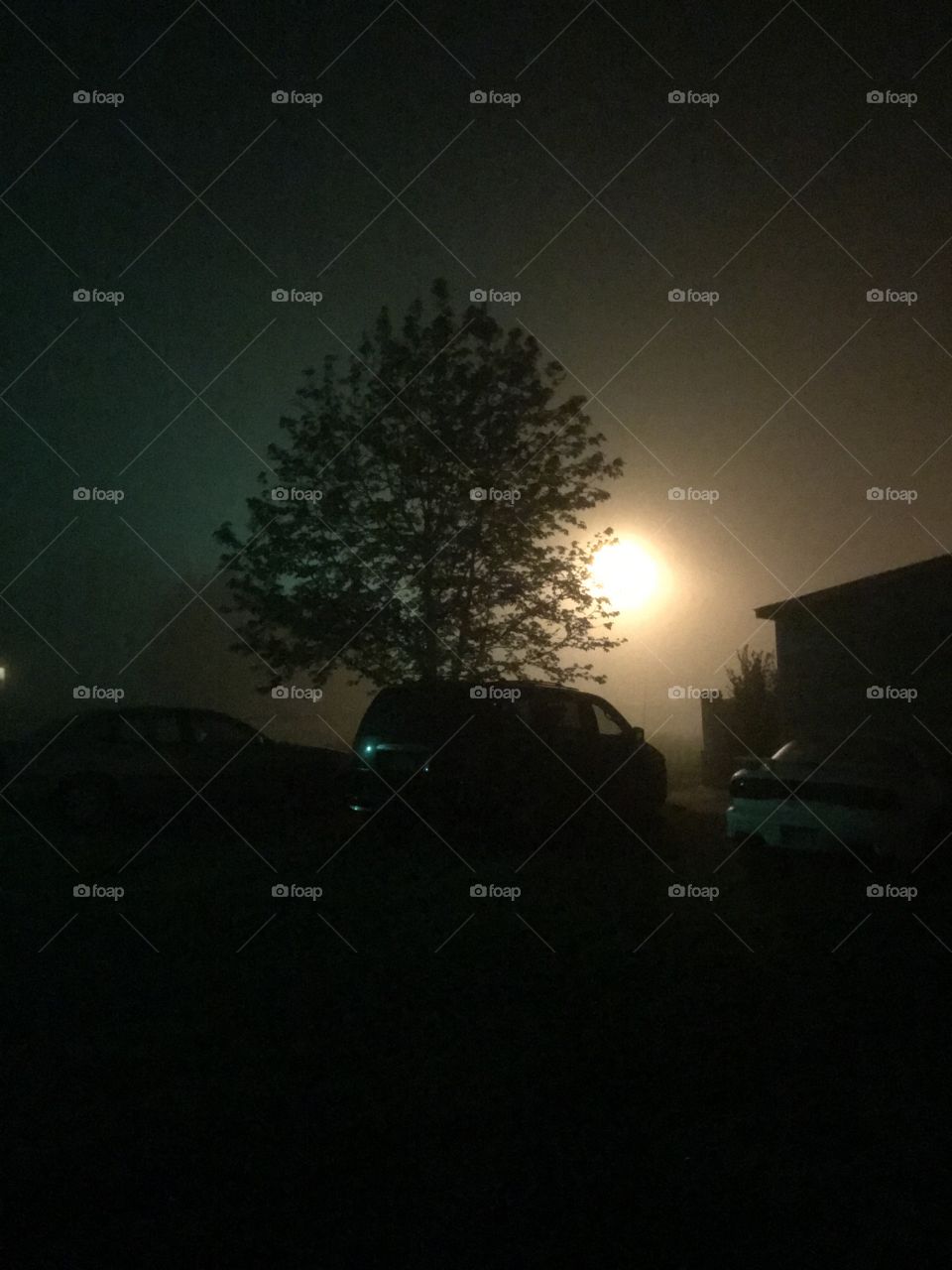 Eerie Midnight Fog