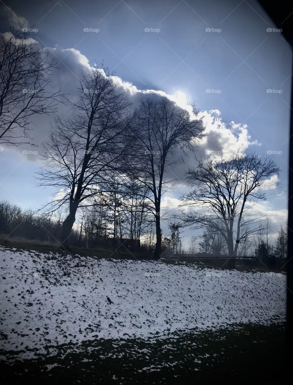 On the way home