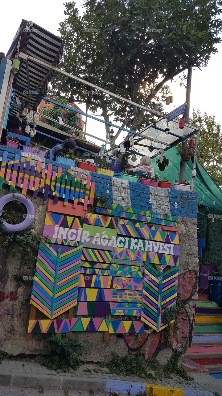 Balat incir ağacı kahvesi