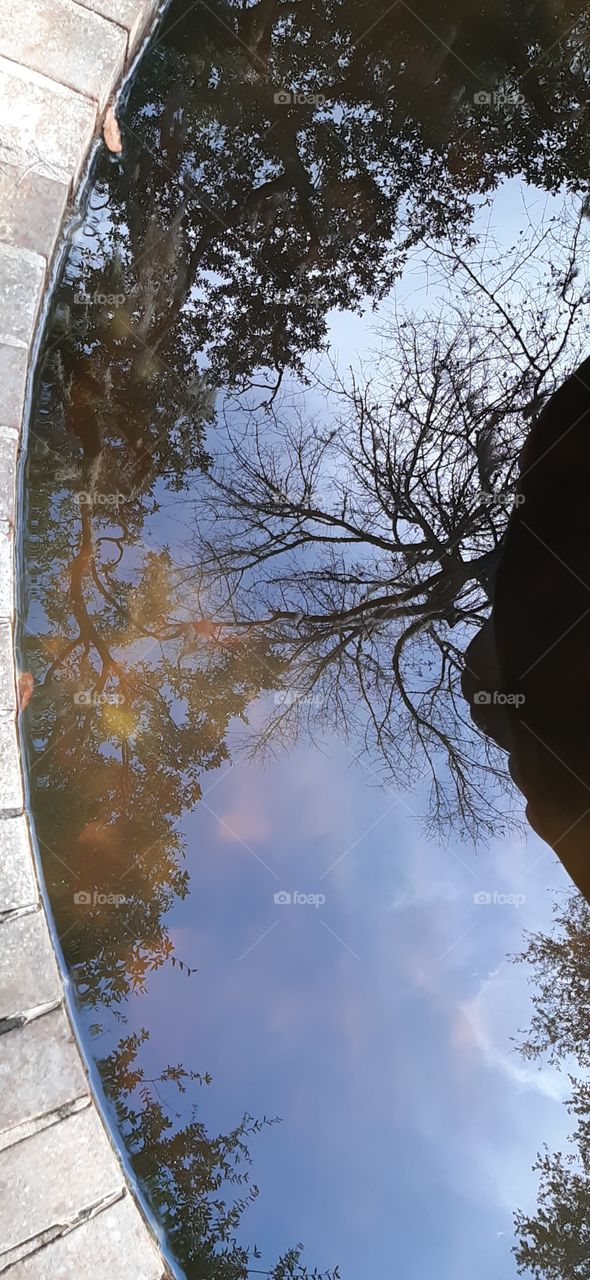 feflecting in the fountain pool