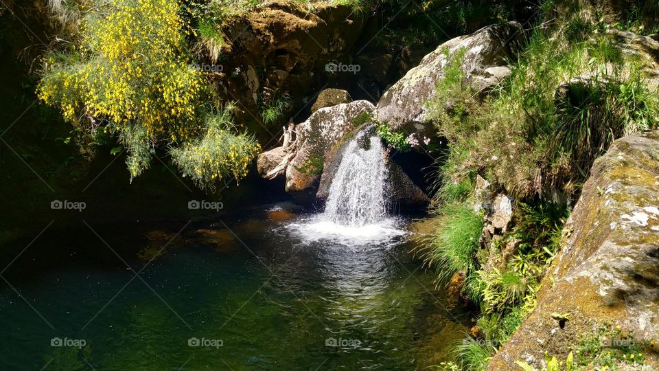 Small waterfall falling into a waterhole in the forest