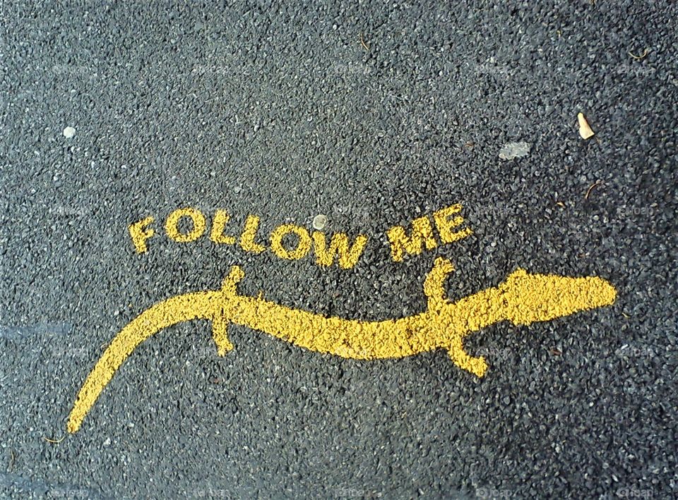 Follow me ( street sign )
