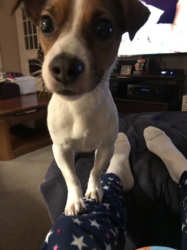 Molly