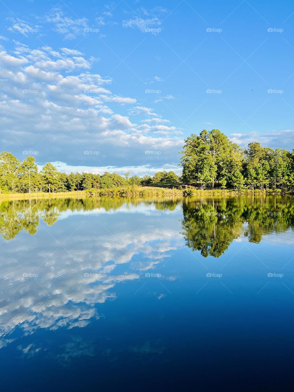 Blue sky dominates this landscape above and below, reflecting over a sunny tree line into the calm surface of a countryside lake.