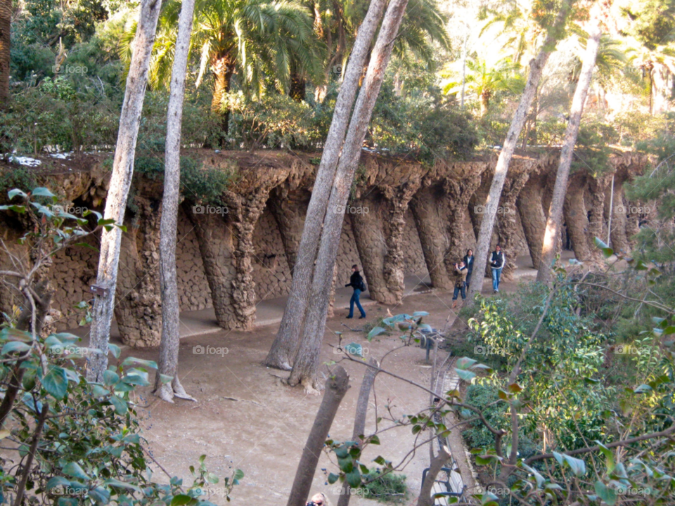 travel tree park barcelona by tediiliescu