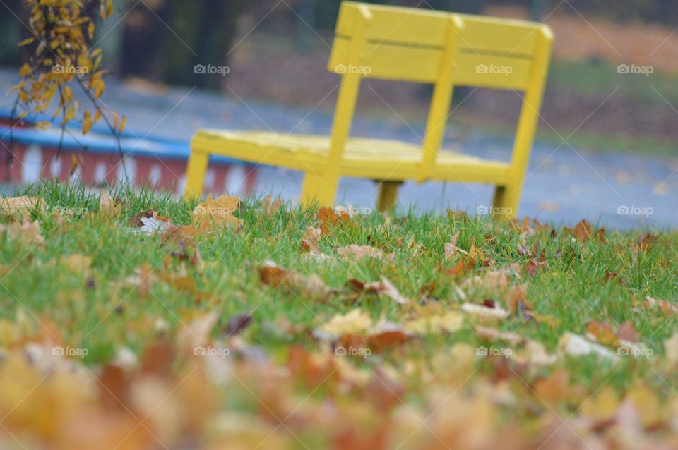 yellow bench in park