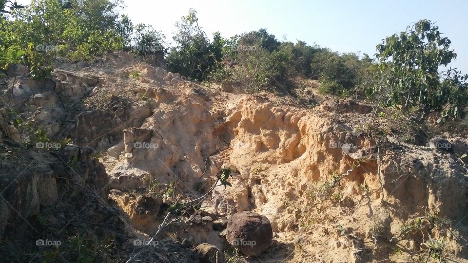 The plateau landmass located in mountainous terrain where many plants are planted.