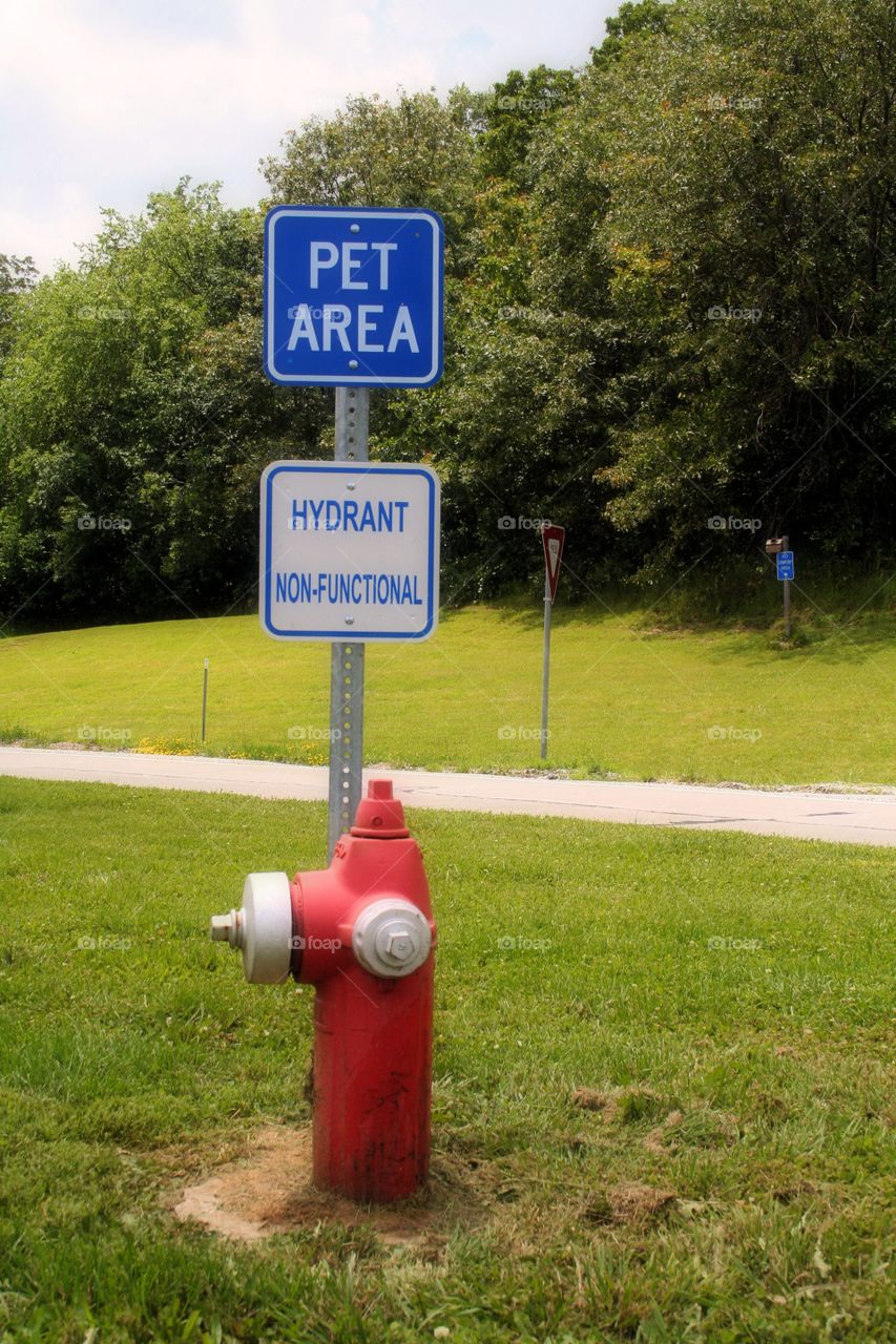 Pet Stop. Traveling dogs look forward to their rest areas to.