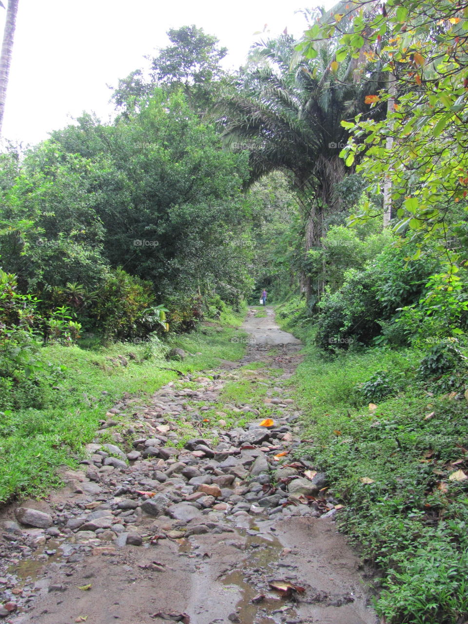 Aventuras en Guatemala