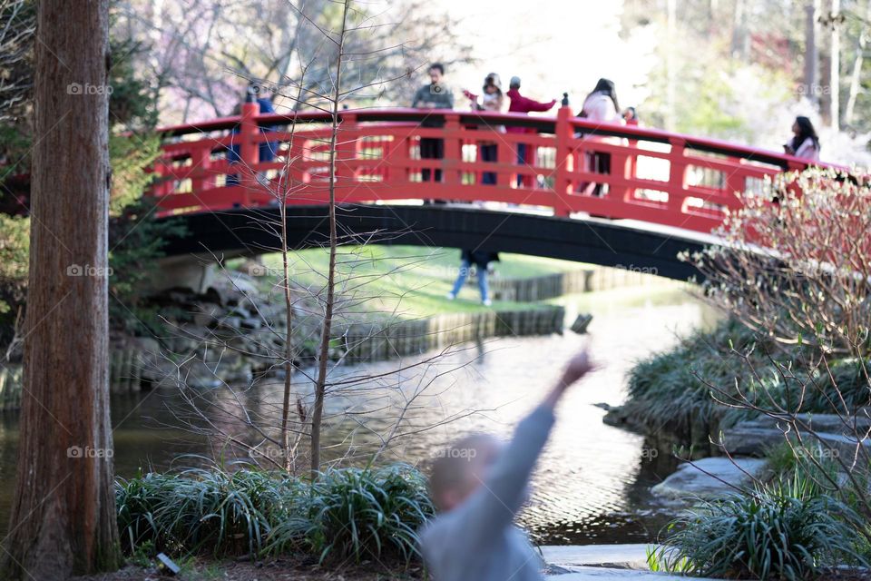 People at a park enjoy the beautiful views.