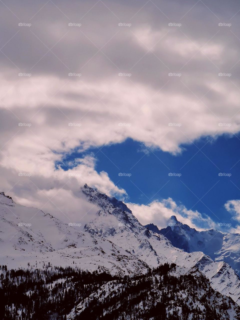 highlanders paradise