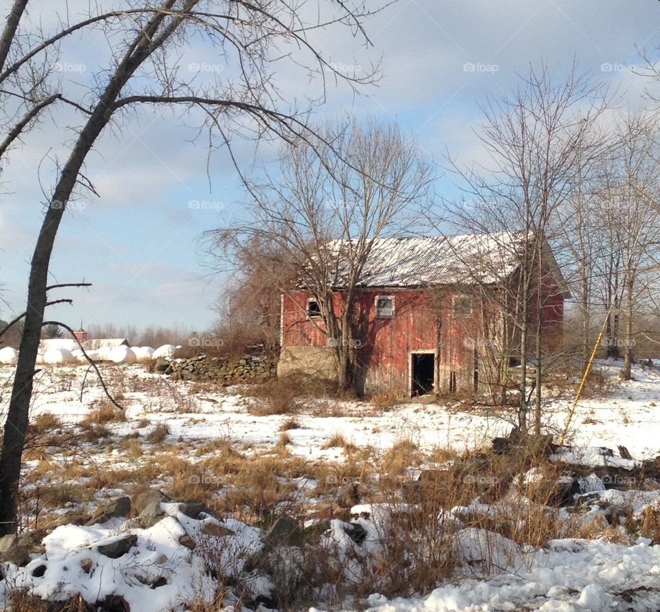 Winter barn