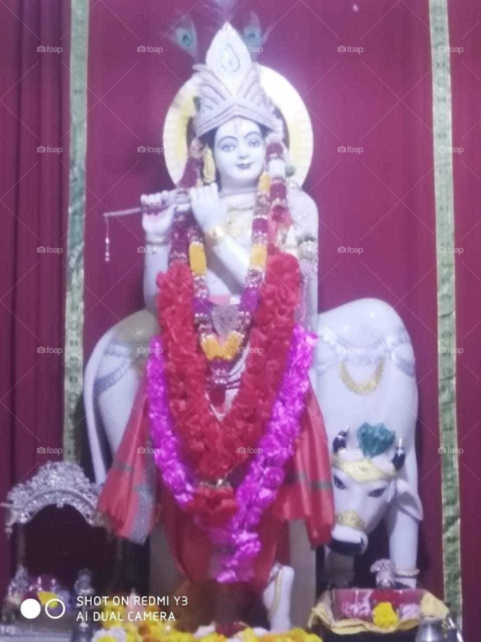 Krishna, Gujarat India