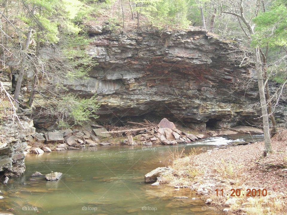 search for fossils