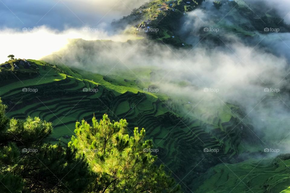 Magnificent Rice Terraces and Sea of Clouds in Maligcong, Bontoc. The photo shows an old village for an ethnic group living at the top of the paddies. The scene is perfectly viewed from the top of another mountain called Kupapey.