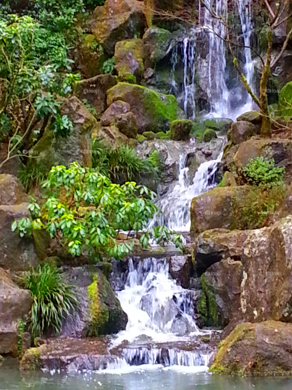 Oregon waterfall