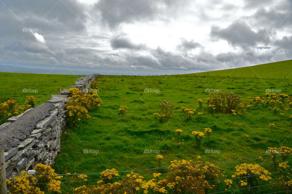 Irish countryside