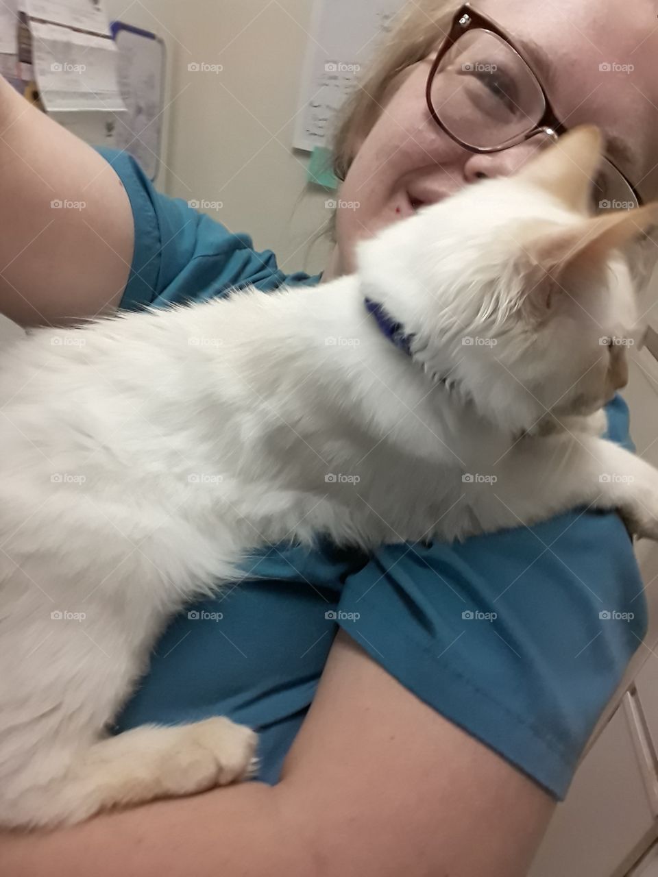 Just a CNA and her cat
