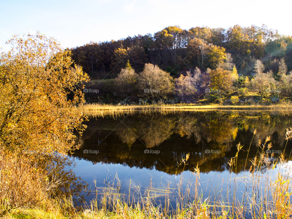 Autumn nature. 