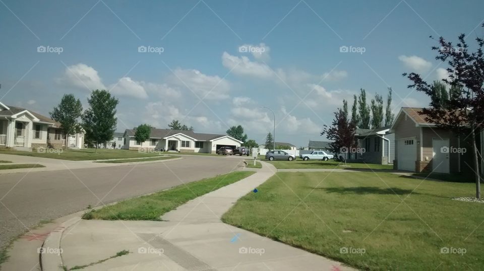 Home, House, Lawn, No Person, Daylight