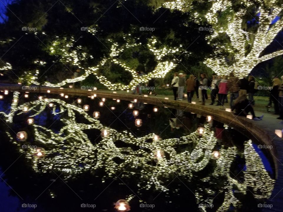 Night of 1000 Candles Brookgreen Gardens. Mirror Image on the water is beautiful.