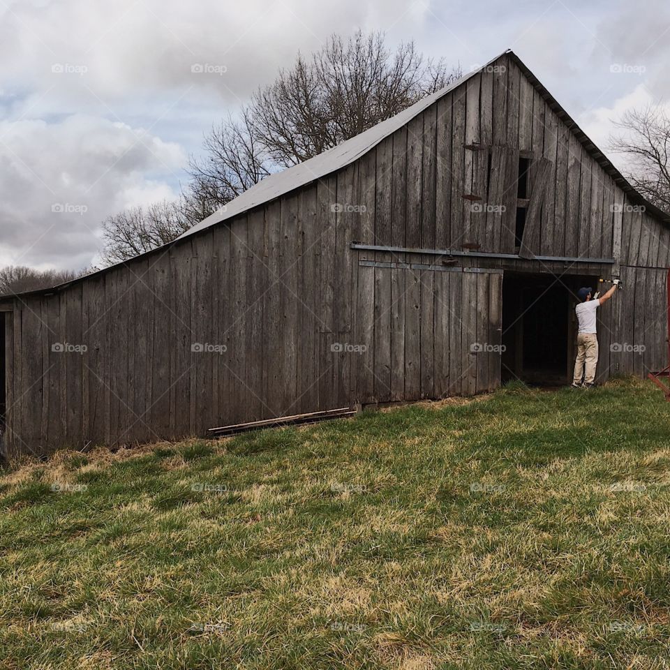 Old barn wood being torn off frame to repurpose in Pea Ridge, Arkansas