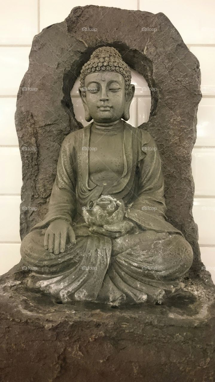 We are shaped by our thoughts; we become what we think. When the mind is pure, joy follows like a shadow that never leaves.
~ Buddha